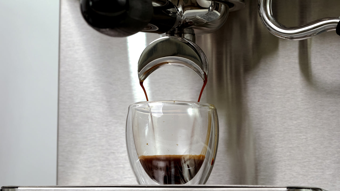 Craft Duo Espresso Machine Dual Boiler